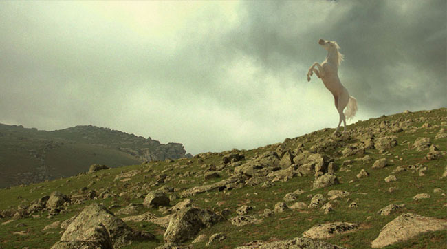 نمايي از فيلم سينمايي ملك سليمان